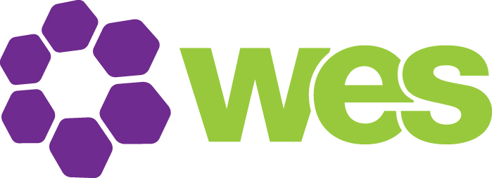 Women's Engineering Society logo